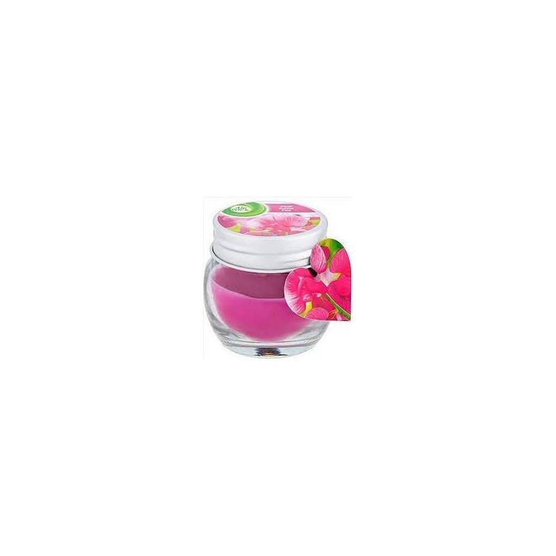 Air Wick žvakė, aromatinė pink sweet pea 30 g